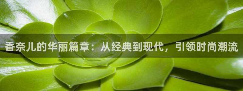 意昂体育3招商电话