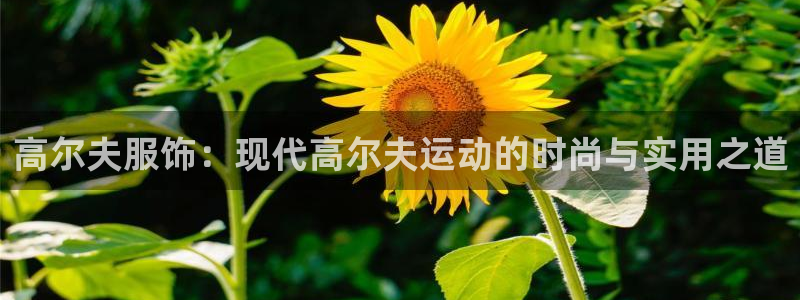 意昂集团官网