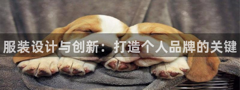 意昂体育3是干嘛的公司