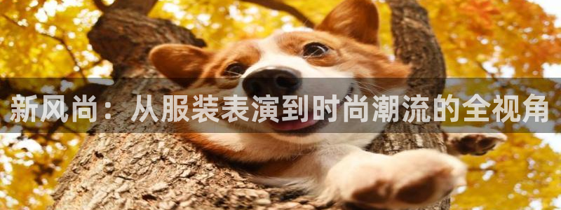 意昂体育3软件