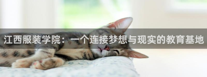 意昂3集团E.ON