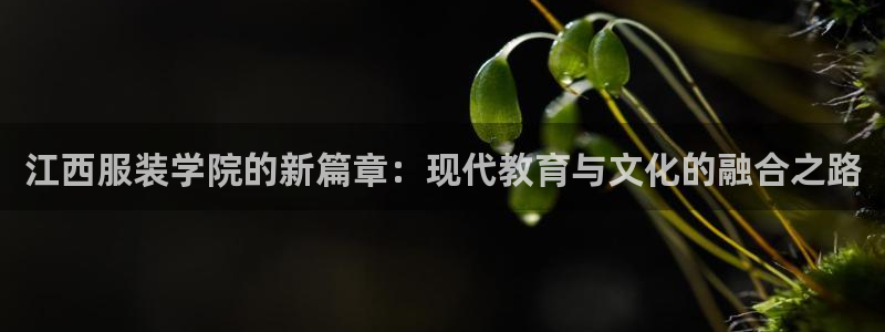 海南意昂体育3