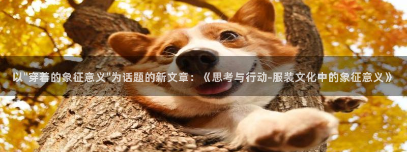 意昂体育3招商