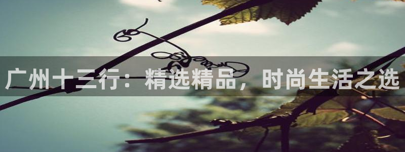 意昂体育3联系电话