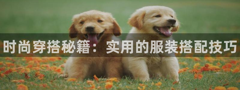 意昂3开户