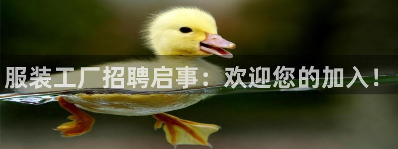 意昂3娱乐代理怎么样