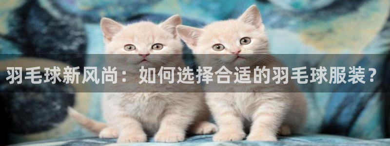 意昂3娱乐是那个系列的台子
