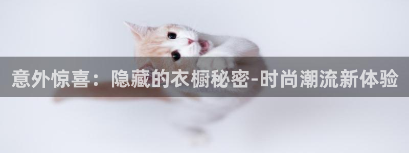 意昂体育3招商电话