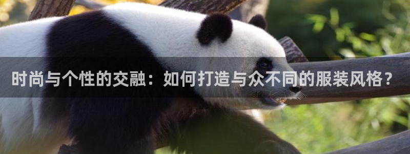 意昂体育3招商电话
