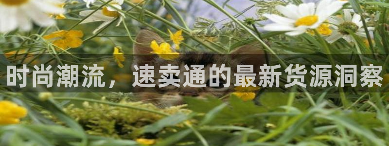 意昂3娱乐首页网站大全
