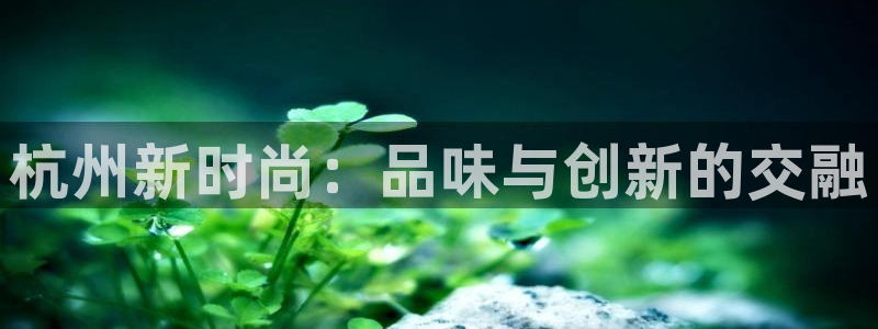 海南意昂体育3发展怎么样