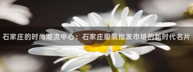 意昂3娱乐