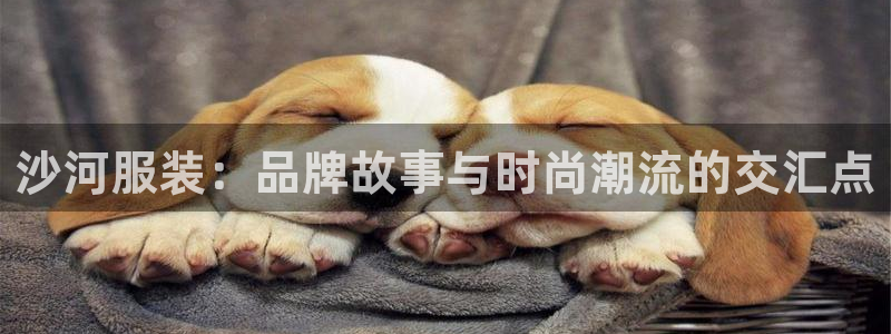 意昂体育3官方客服电话