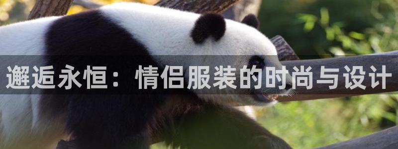 意昂体育3招商电话号码查询是多少