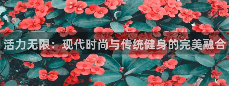 意昂体育3娱乐