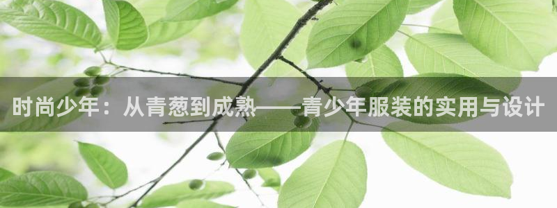 海南意昂体育3