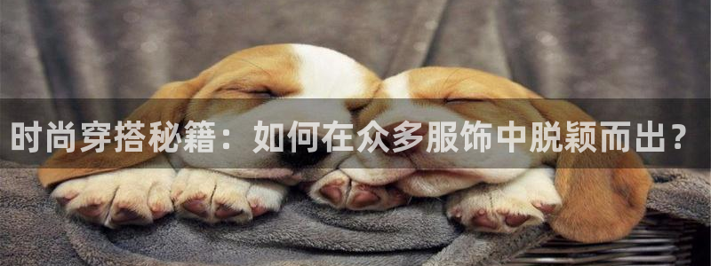 意昂体育3招商电话是多少