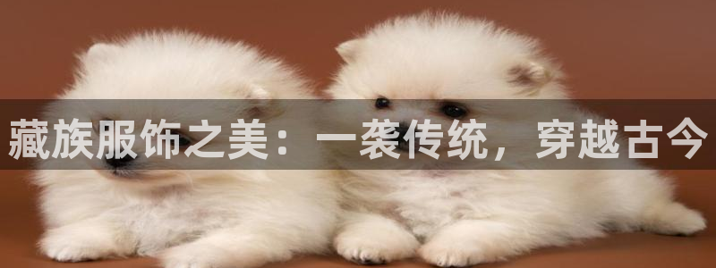 意昂体育3平台假的吗是真的吗