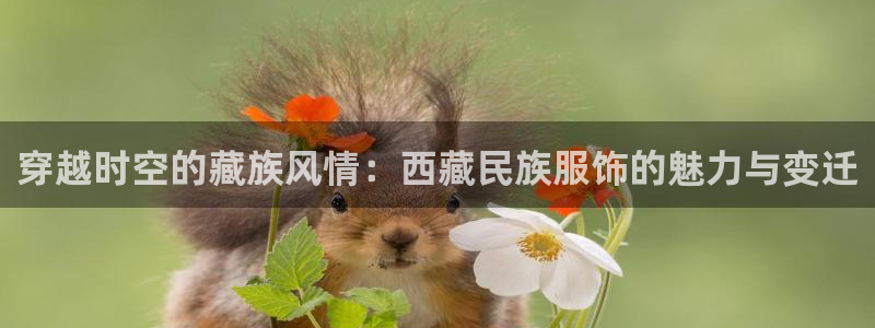 意昂体育3招商电话号码是多少啊