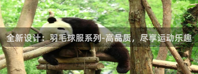 意昂体育3平台注册流程图