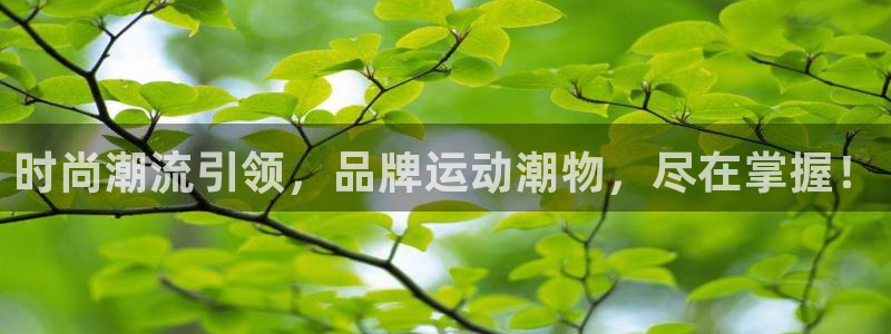 意昂3娱乐首页官网下载