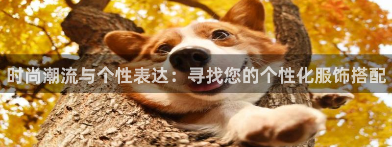 意昂体育3：时尚潮流与个性表达：寻找您的